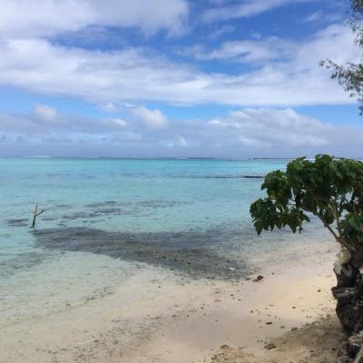 Bayside Outrigger15
